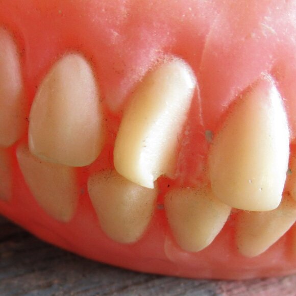 Cult Classic Cool Goth Oddity Denture bracelet - Picture 9 of 9